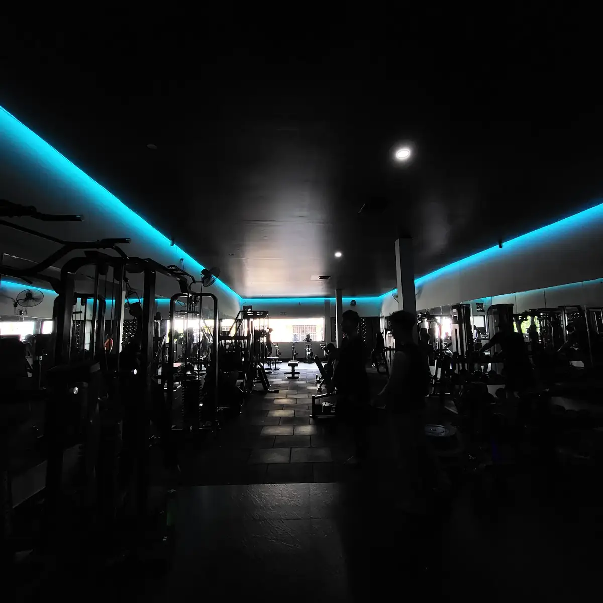 ARIFAH Gym Interior - Modern Equipment & LED Lighting